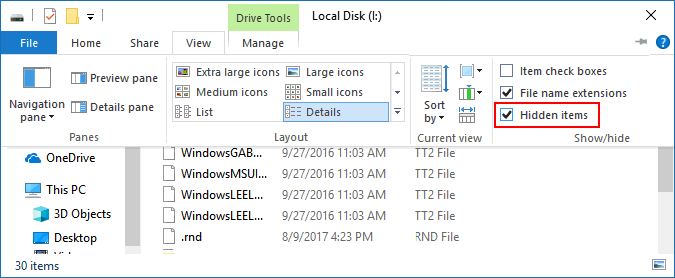 Hidden Files in File Explorer