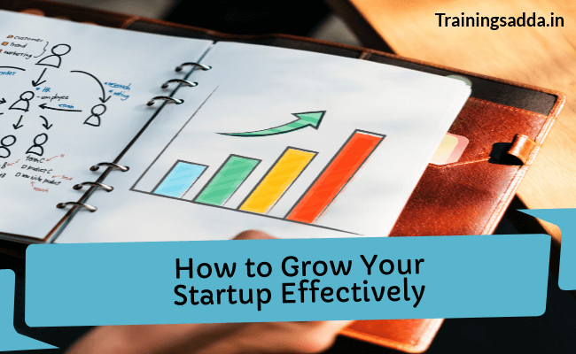 How to Grow Your Startup Business Effectively