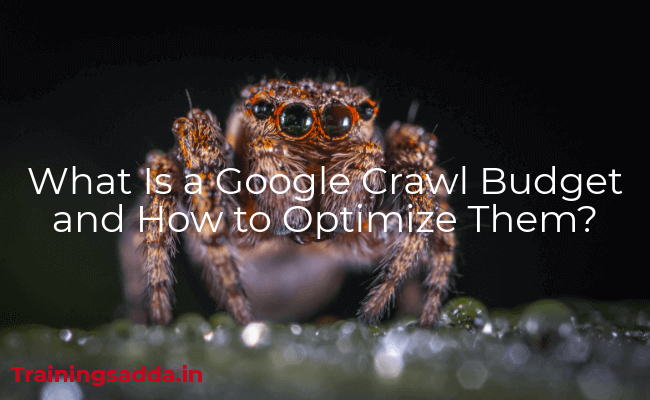 What Is a Google Crawl Budget and How to Optimize Them?