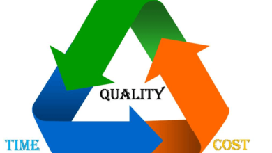 Successful Results in Project Management