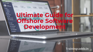 Ultimate Guide for Offshore Software Development