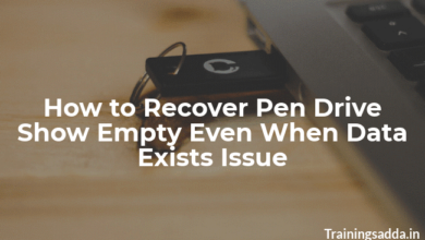 Resolve ‘Pen Drive Showing Empty Although it has Data’ Issue Instantly