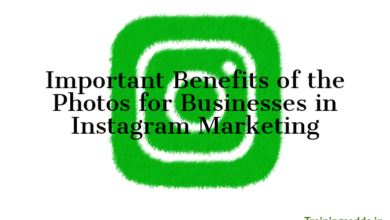 Important Benefits of the Photos for Businesses in Instagram Marketing