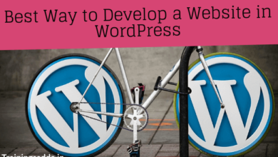 Best Ways to Develop a Website in WordPress