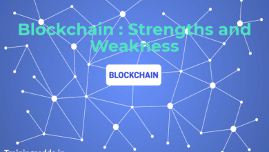 What Are The Strengths and Weaknesses of The Blockchain?