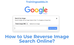 How to Use Reverse Image Search Online?