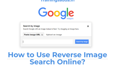 How to Use Reverse Image Search Online?