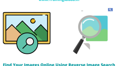 Find Your Images Online Using Reverse Image Search