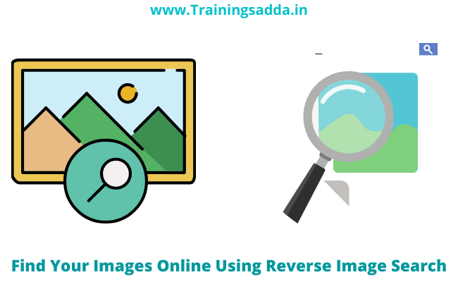 Find Your Images Online Using Reverse Image Search