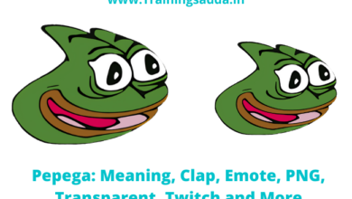 Pepega twitch  Trainingsadda