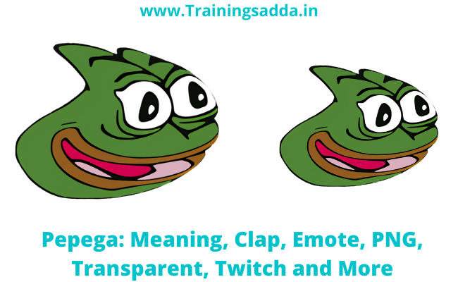 Pepega twitch  Trainingsadda