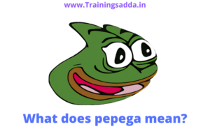 What does pepega mean?