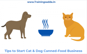 Tips to Start Cat & Dog Canned-Food Business