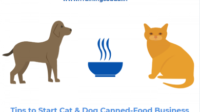 Tips to Start Cat & Dog Canned-Food Business