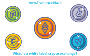 What is A White Label Crypto Exchange?
