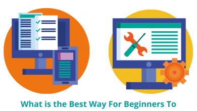 What is the Best Way For Beginners To Learn Web Development?