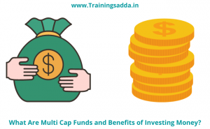 What Are Multi Cap Funds and Benefits of Investing Money?