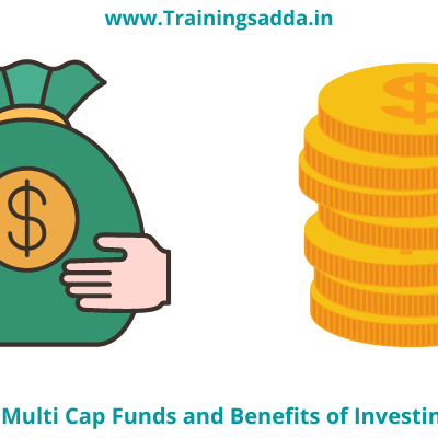 What Are Multi Cap Funds and Benefits of Investing Money?
