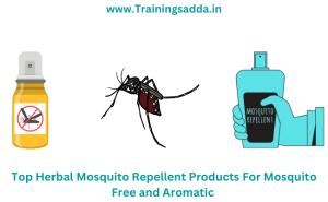 Top Herbal Mosquito Repellent Products For Mosquito Free and Aromatic