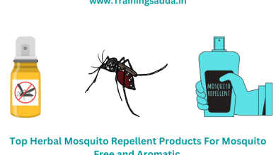 Top Herbal Mosquito Repellent Products For Mosquito Free and Aromatic