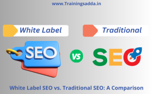 White Label SEO vs. Traditional SEO: A Comparison