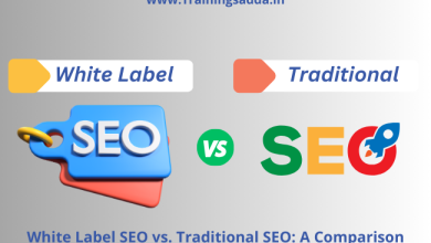 White Label SEO vs. Traditional SEO: A Comparison