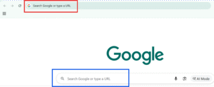 What Does Search Google or Type a URL Mean